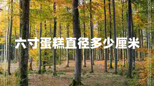 六寸蛋糕直徑多少厘米