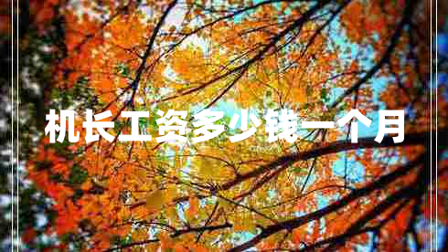 機(jī)長(zhǎng)工資多少錢一個(gè)月