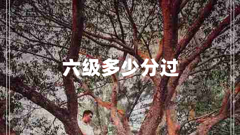 六級(jí)多少分過