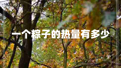 一個粽子的熱量有多少