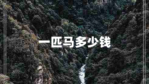 一匹馬多少錢