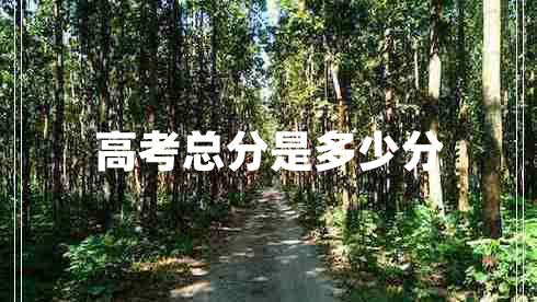高考總分是多少分