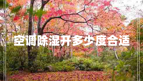 空調(diào)除濕開(kāi)多少度合適