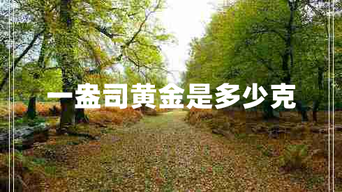 一盎司黃金是多少克 一盎司黃金是多少克