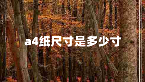 a4紙尺寸是多少寸