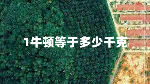 1牛頓等于多少千克 1牛頓等于多少千克