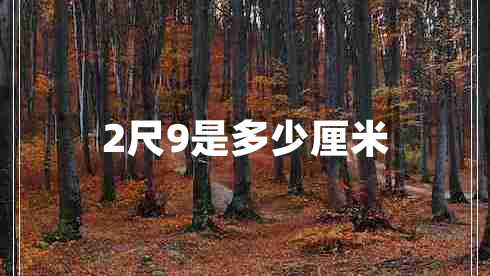 2尺9是多少厘米 2尺9是多少厘米