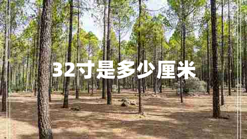 32寸是多少厘米