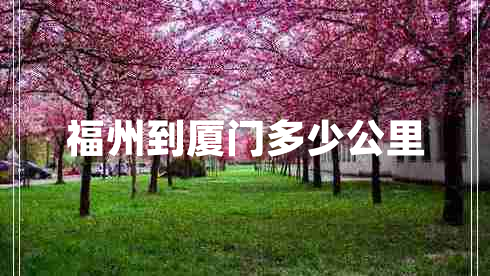 福州到廈門多少公里