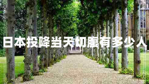 日本投降當(dāng)天切腹有多少人