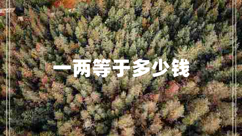 一兩等于多少錢