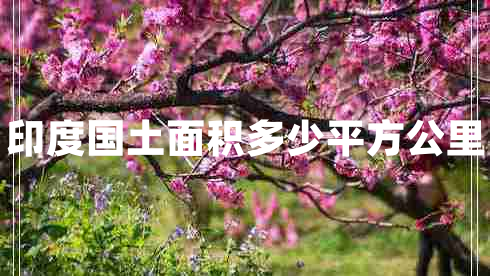 印度國(guó)土面積多少平方公里