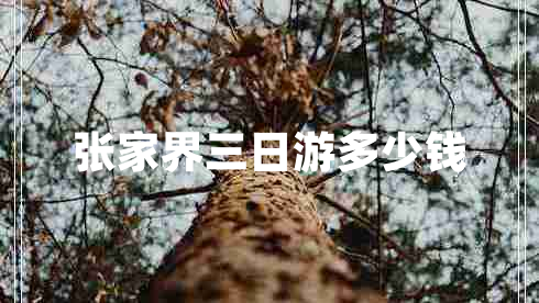 張家界三日游多少錢