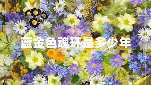藍金色魂環(huán)是多少年