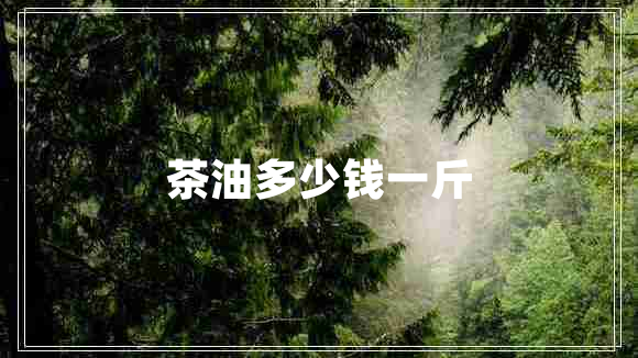 茶油多少錢一斤