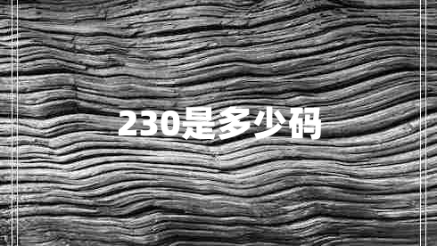 230是多少碼