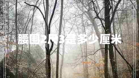 腰圍2尺3是多少厘米