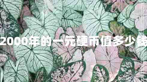 2000年的一元硬幣值多少錢
