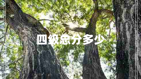 四級(jí)總分多少