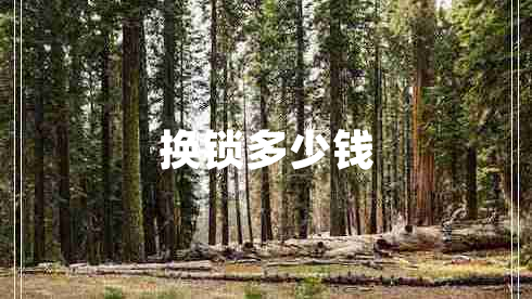 換鎖多少錢 換鎖多少錢