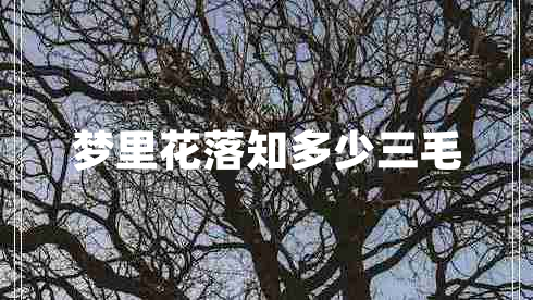 夢里花落知多少三毛