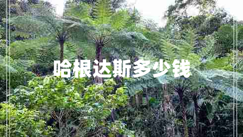 哈根達(dá)斯多少錢(qián)