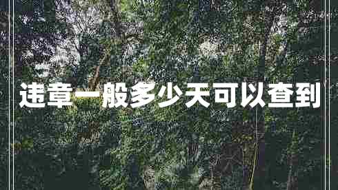 違章一般多少天可以查到 違章一般多少天可以查到