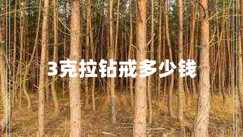 3克拉鉆戒多少錢