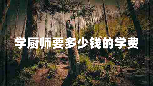 學(xué)廚師要多少錢的學(xué)費(fèi)