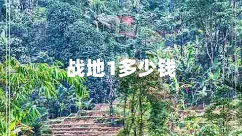 戰(zhàn)地1多少錢(qián)