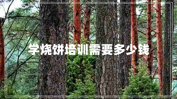 學(xué)燒餅培訓(xùn)需要多少錢