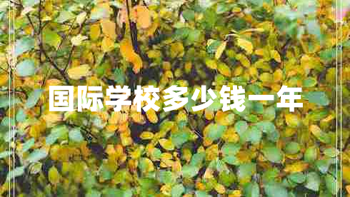國際學校多少錢一年