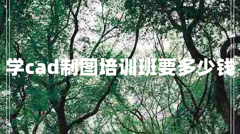 學cad制圖培訓班要多少錢