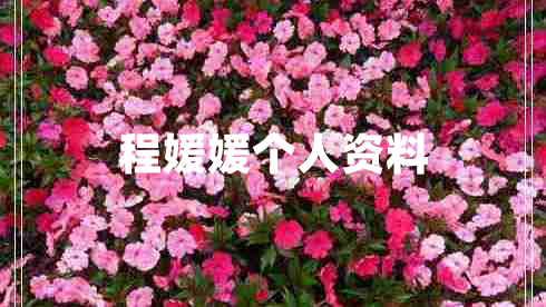 程媛媛個人資料