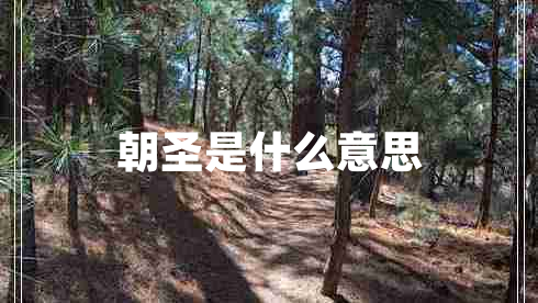 朝圣是什么意思