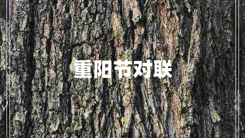 重陽節(jié)對(duì)聯(lián)