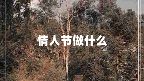情人節(jié)做什么 情人節(jié)做什么