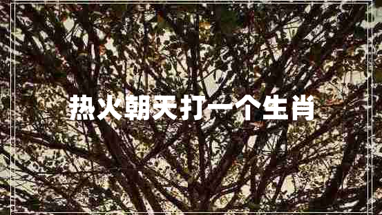 熱火朝天打一個(gè)生肖