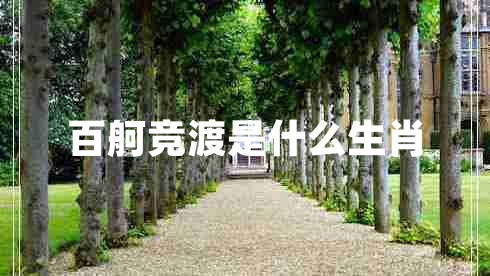 百舸競(jìng)渡是什么生肖