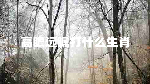 高瞻遠(yuǎn)矚打什么生肖 高瞻遠(yuǎn)矚打什么生肖