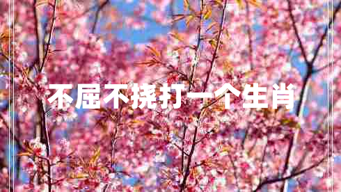 不屈不撓打一個(gè)生肖