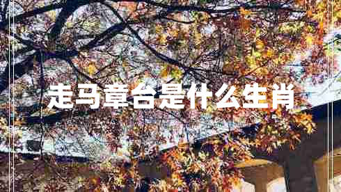 走馬章臺是什么生肖 走馬章臺是什么生肖