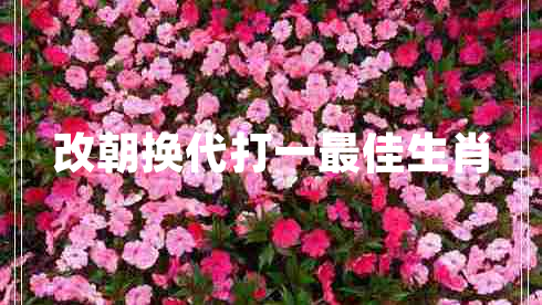 改朝換代打一最佳生肖 改朝換代打一最佳生肖