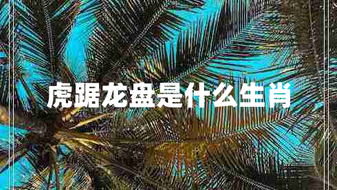 虎踞龍盤是什么生肖