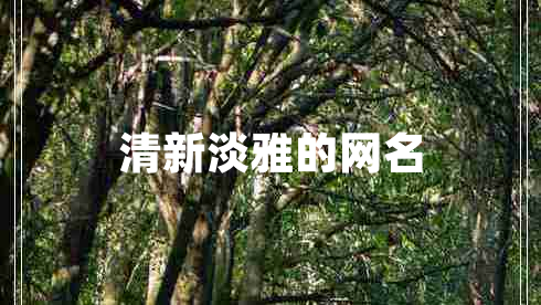 清新淡雅的網(wǎng)名