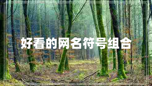 好看的網(wǎng)名符號組合