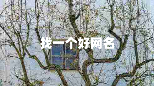 找一個好網(wǎng)名