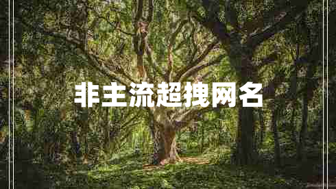 非主流超拽網(wǎng)名