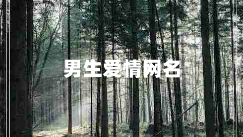 男生愛情網(wǎng)名
