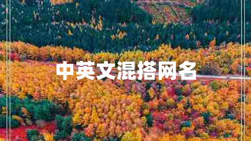 中英文混搭網(wǎng)名